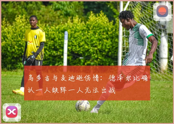乌多吉与麦迪逊伤情：德泽尔比确认一人缺阵一人无法出战