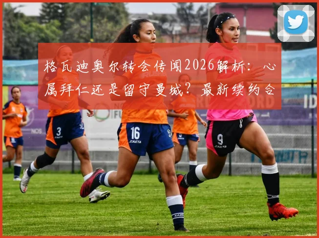 格瓦迪奥尔转会传闻2026解析：心属拜仁还是留守曼城？最新续约合同与未来去向深度分析